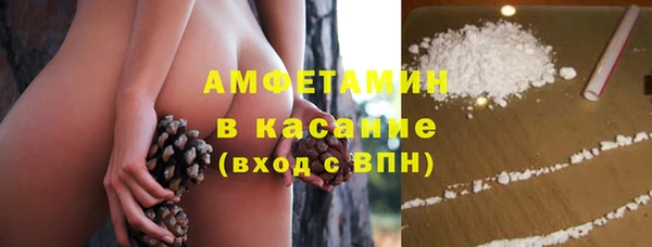 ГАЛЛЮЦИНОГЕННЫЕ ГРИБЫ Богданович