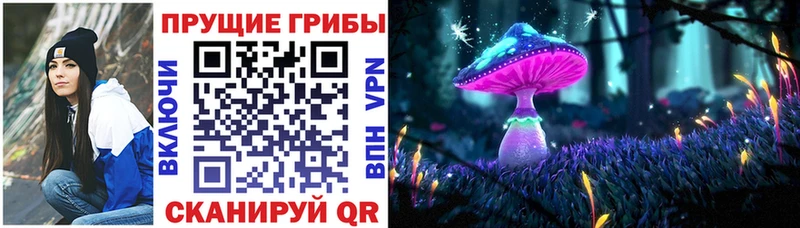 Псилоцибиновые грибы Cubensis Ижевск
