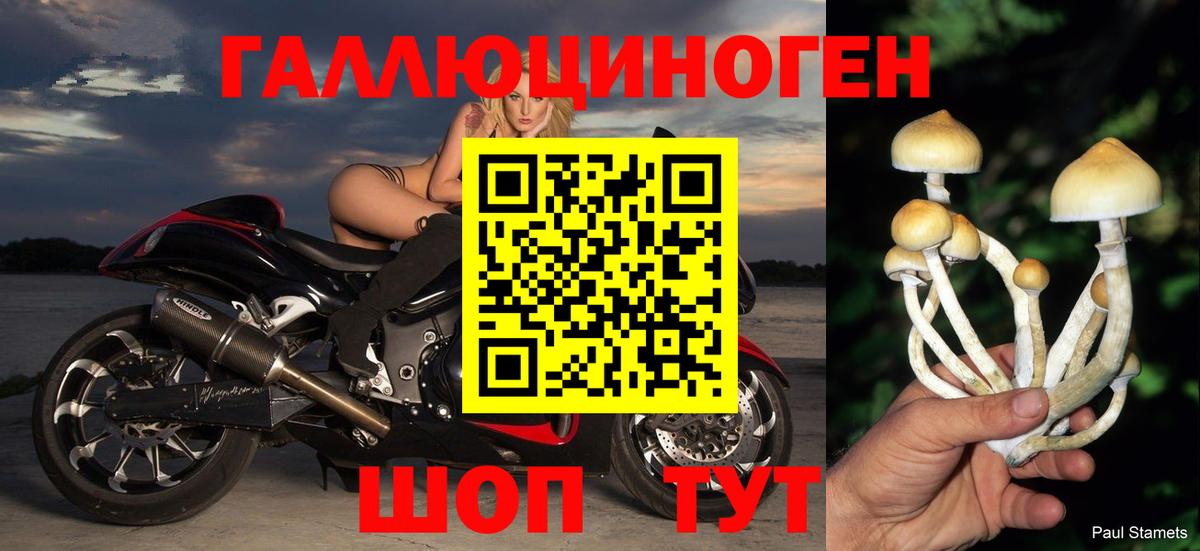 Галлюциногенные грибы Cubensis Ижевск